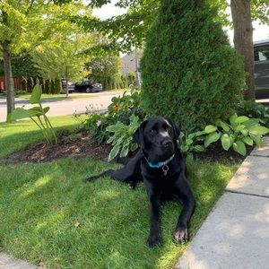 Meet your Posher, Sabrina